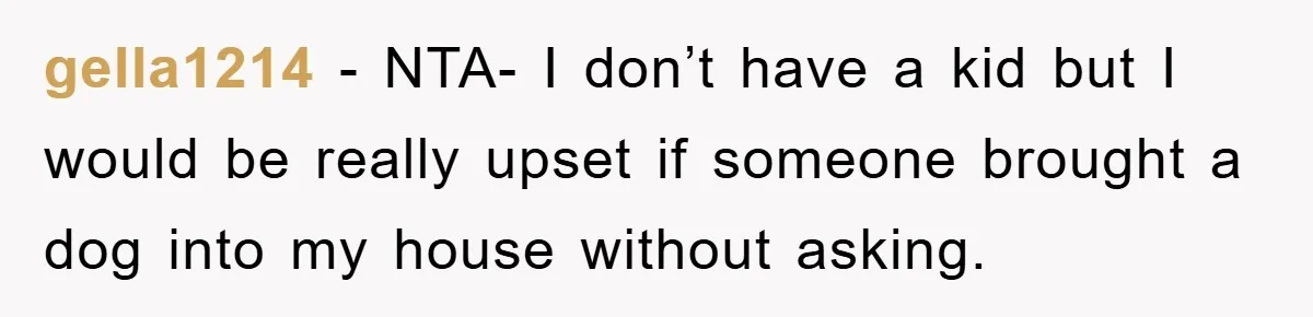 gella1214 − NTA- I don’t have a kid but I would be really upset if someone brought a dog into my house without asking.
