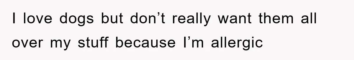 I love dogs but don’t really want them all over my stuff because I’m allergic