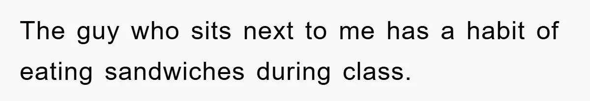 The guy who sits next to me has a habit of eating sandwiches during class.