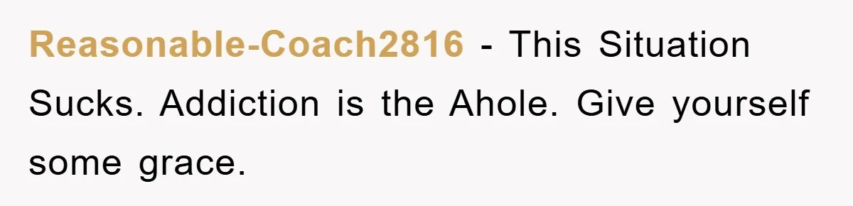 Reasonable-Coach2816 − This Situation Sucks. Addiction is the Ahole. Give yourself some grace.