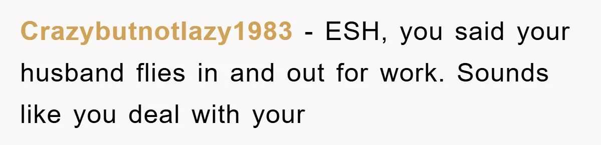 Crazybutnotlazy1983 − ESH, you said your husband flies in and out for work. Sounds like you deal with your