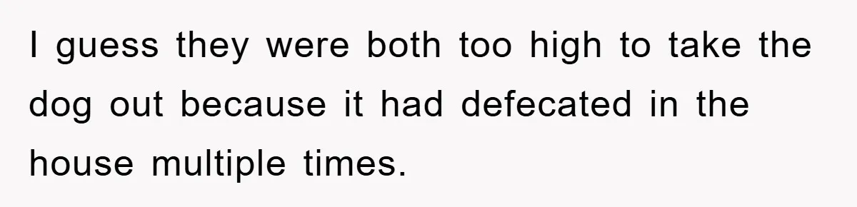 I guess they were both too high to take the dog out because it had defecated in the house multiple times.