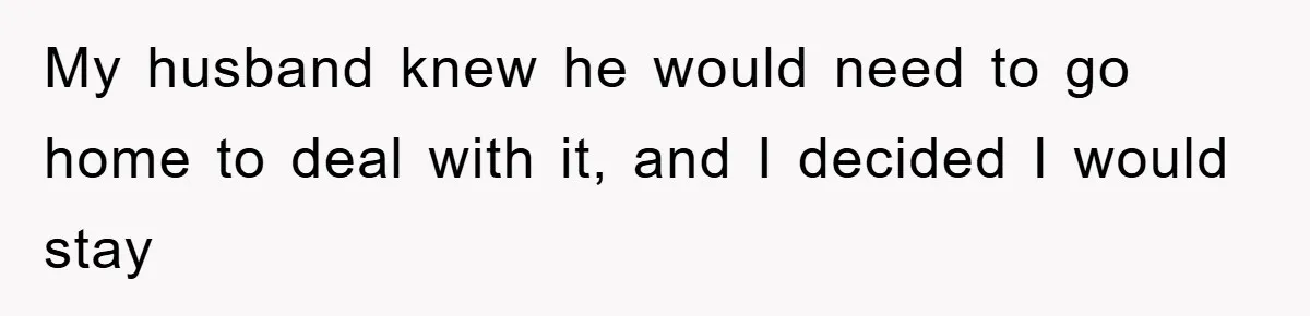 My husband knew he would need to go home to deal with it, and I decided I would stay