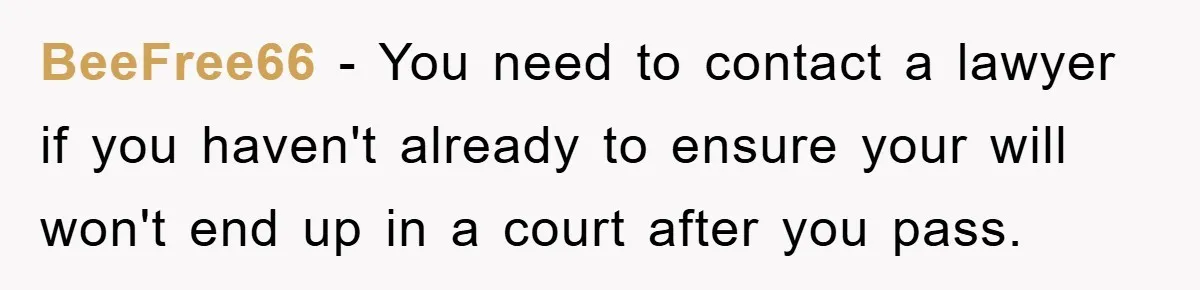 BeeFree66 − You need to contact a lawyer if you haven't already to ensure your will won't end up in a court after you pass.