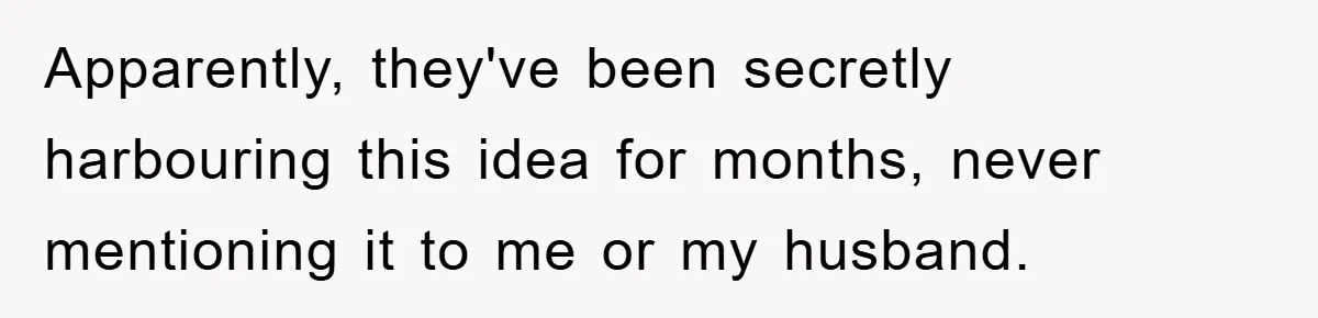 Apparently, they've been secretly harbouring this idea for months, never mentioning it to me or my husband.