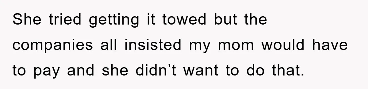 She tried getting it towed but the companies all insisted my mom would have to pay and she didn’t want to do that.