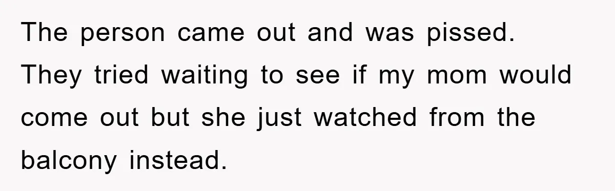 The person came out and was pissed. They tried waiting to see if my mom would come out but she just watched from the balcony instead.