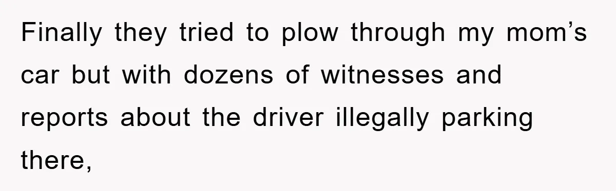 Finally they tried to plow through my mom’s car but with dozens of witnesses and reports about the driver illegally parking there,
