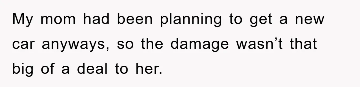 My mom had been planning to get a new car anyways, so the damage wasn’t that big of a deal to her.