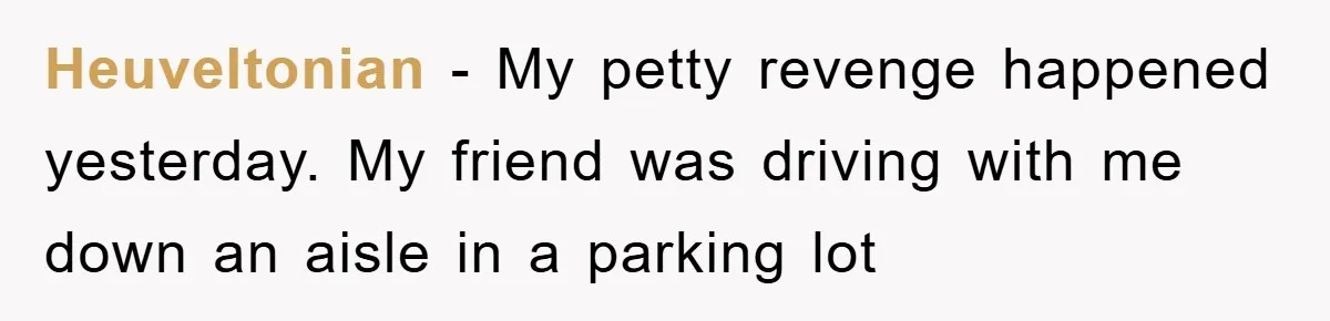 Heuveltonian − My petty revenge happened yesterday. My friend was driving with me down an aisle in a parking lot