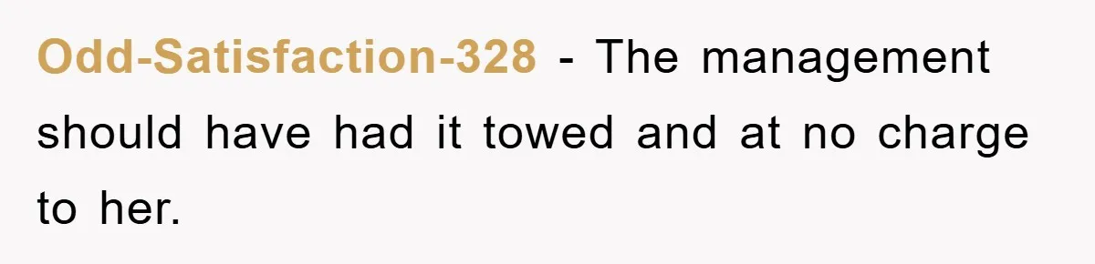 Odd-Satisfaction-328 − The management should have had it towed and at no charge to her.