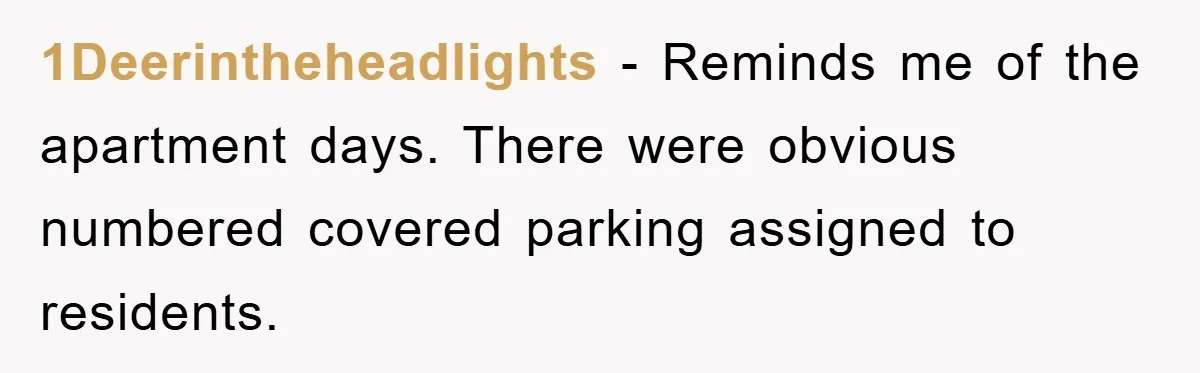1Deerintheheadlights − Reminds me of the apartment days. There were obvious numbered covered parking assigned to residents.