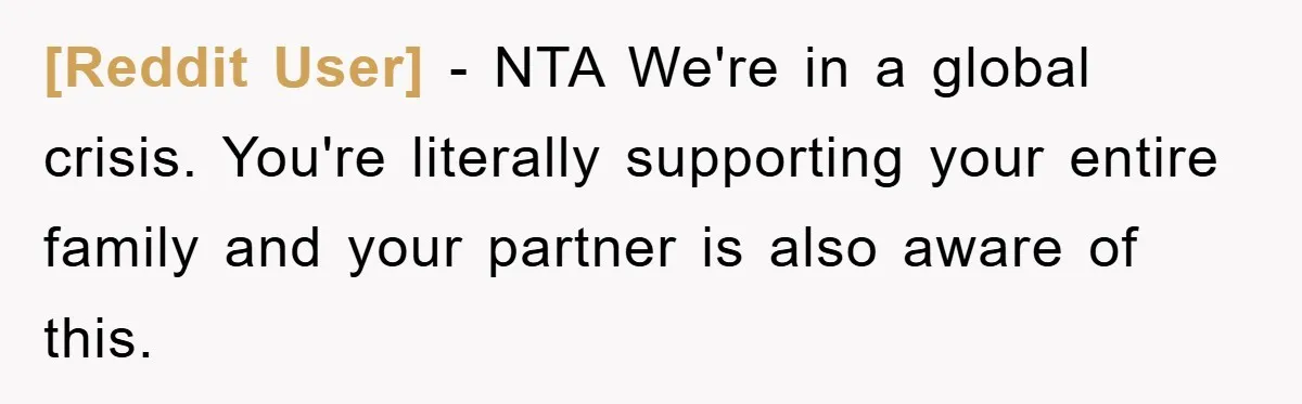 [Reddit User] − NTA We're in a global crisis. You're literally supporting your entire family and your partner is also aware of this.