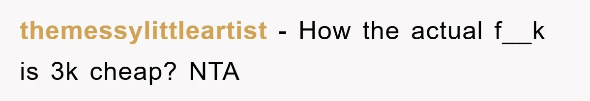 themessylittleartist − How the actual f__k is 3k cheap? NTA