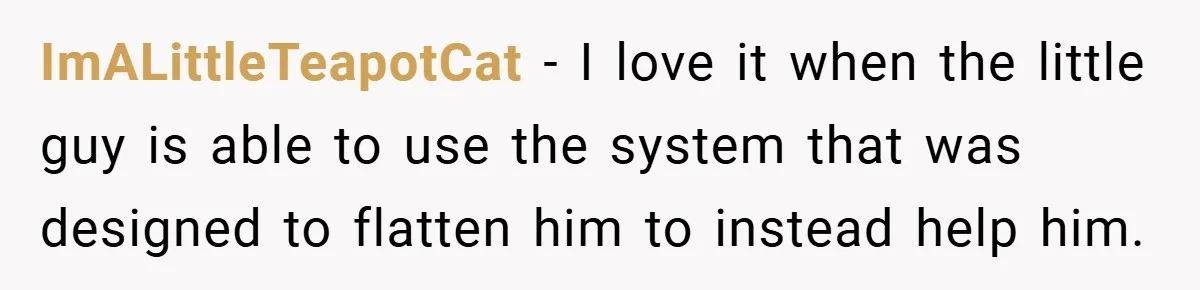 ImALittleTeapotCat − I love it when the little guy is able to use the system that was designed to flatten him to instead help him.