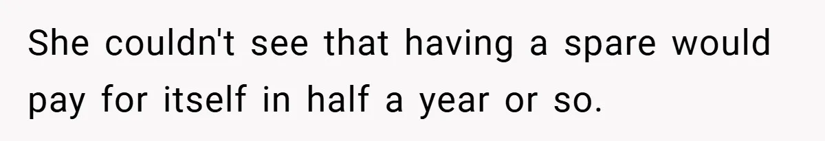 She couldn't see that having a spare would pay for itself in half a year or so.