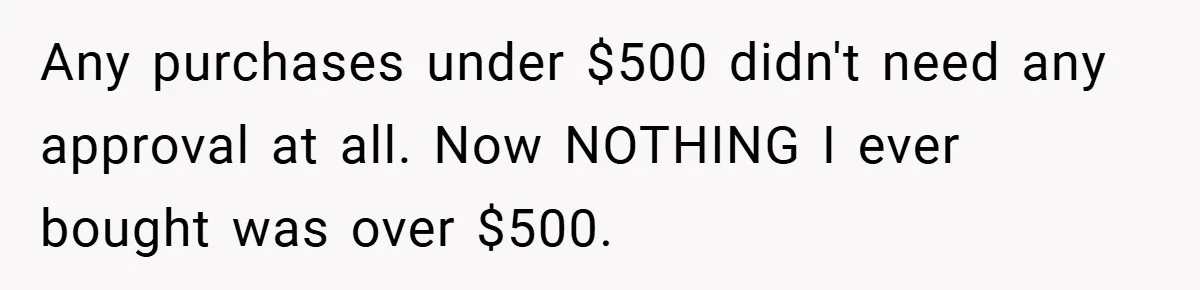Any purchases under $500 didn't need any approval at all. Now NOTHING I ever bought was over $500.