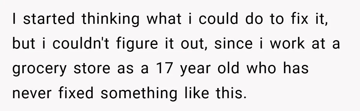 I started thinking what i could do to fix it, but i couldn't figure it out, since i work at a grocery store as a 17 year old who has...