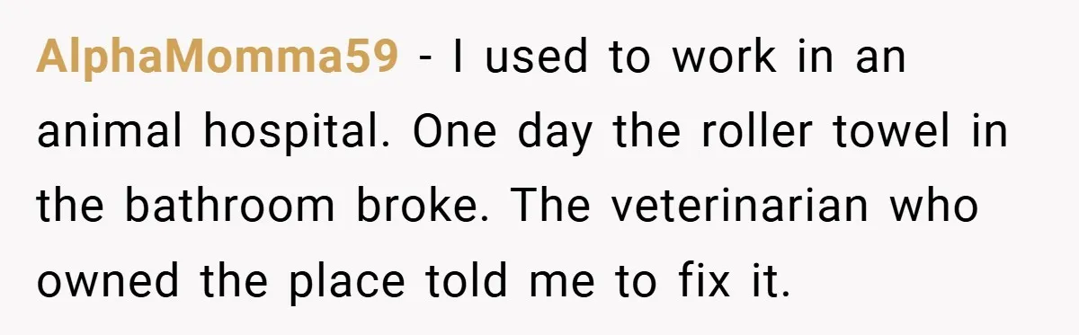 AlphaMomma59 − I used to work in an animal hospital. One day the roller towel in the bathroom broke. The veterinarian who owned the place told me to fix it.