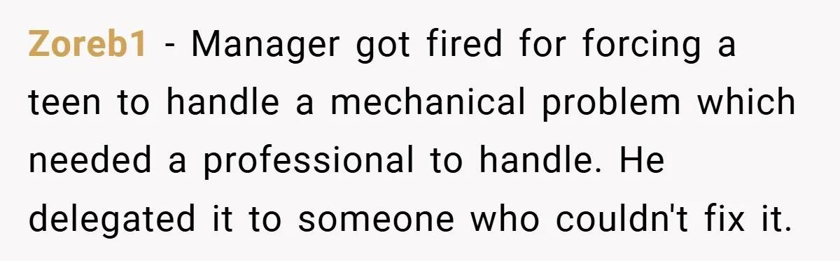 Zoreb1 − Manager got fired for forcing a teen to handle a mechanical problem which needed a professional to handle. He delegated it to someone who couldn't fix it.