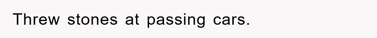 Threw stones at passing cars.