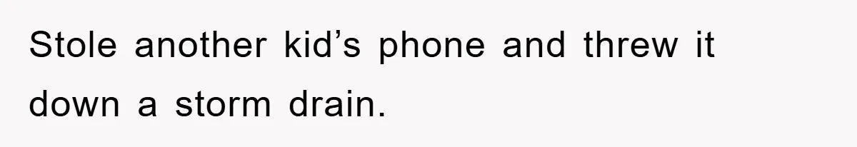 Stole another kid’s phone and threw it down a storm drain.