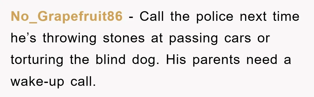 No_Grapefruit86 − Call the police next time he’s throwing stones at passing cars or torturing the blind dog. His parents need a wake-up call.