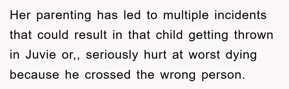 Her parenting has led to multiple incidents that could result in that child getting thrown in Juvie or,, seriously hurt at worst dying because he crossed the wrong person.
