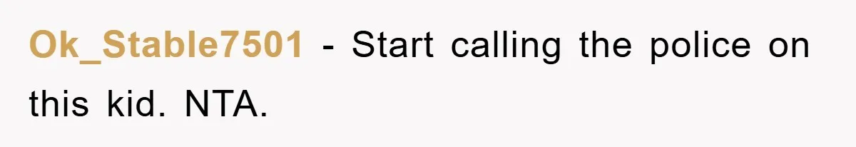 Ok_Stable7501 − Start calling the police on this kid. NTA.