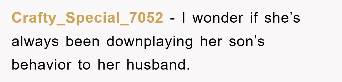 Crafty_Special_7052 − I wonder if she’s always been downplaying her son’s behavior to her husband.