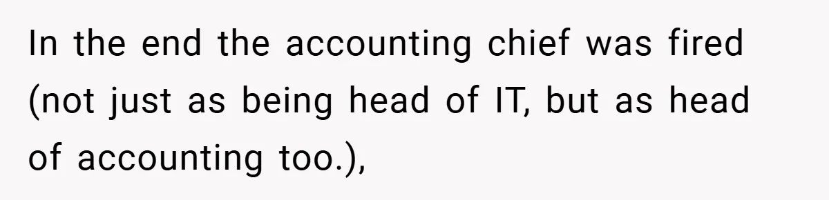 In the end the accounting chief was fired (not just as being head of IT, but as head of accounting too.),