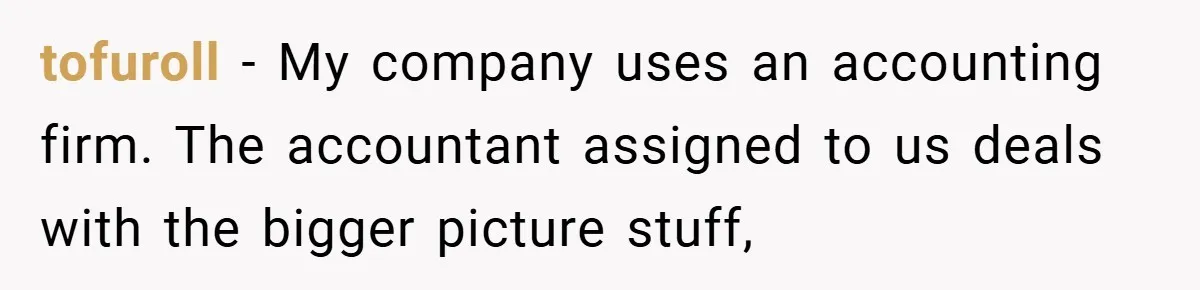 tofuroll − My company uses an accounting firm. The accountant assigned to us deals with the bigger picture stuff,