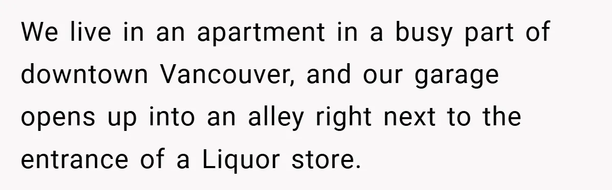 We live in an apartment in a busy part of downtown Vancouver, and our garage opens up into an alley right next to the entrance of a Liquor store.