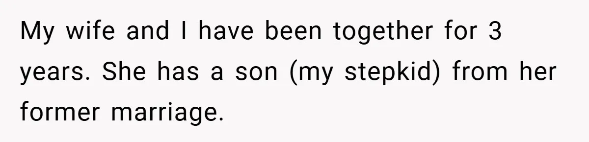 Man Calls Wife “Ridiculous” for Skipping Christmas Over a Stocking My wife and I have been together for 3 years. She has a son (my stepkid) from her former marriage.