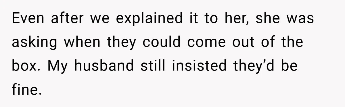 Even after we explained it to her, she was asking when they could come out of the box. My husband still insisted they’d be fine.