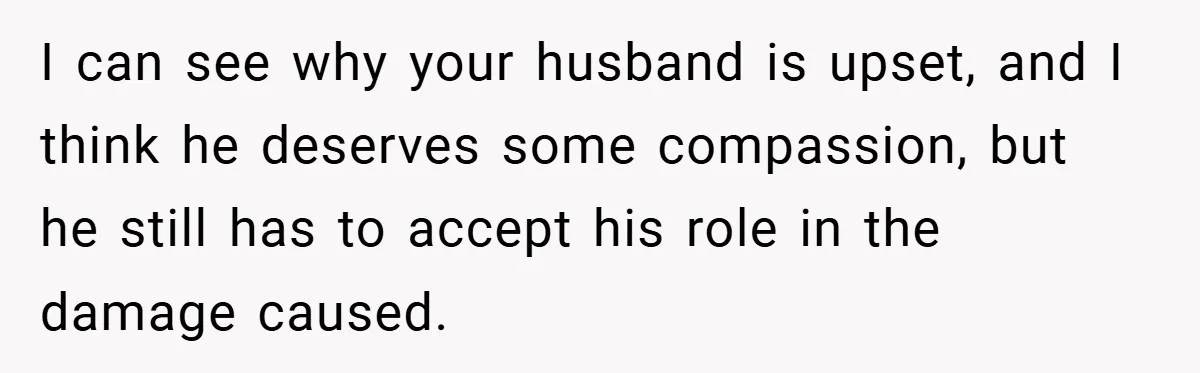 I can see why your husband is upset, and I think he deserves some compassion, but he still has to accept his role in the damage caused.