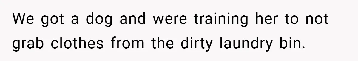 We got a dog and were training her to not grab clothes from the dirty laundry bin.