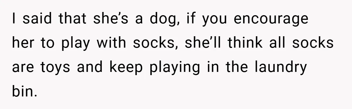 I said that she’s a dog, if you encourage her to play with socks, she’ll think all socks are toys and keep playing in the laundry bin.