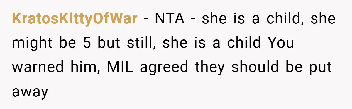 KratosKittyOfWar − NTA - she is a child, she might be 5 but still, she is a child You warned him, MIL agreed they should be put away