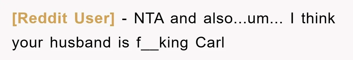 [Reddit User] − NTA and also...um... I think your husband is f__king Carl