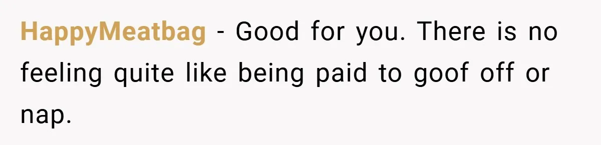 HappyMeatbag − Good for you. There is no feeling quite like being paid to goof off or nap.