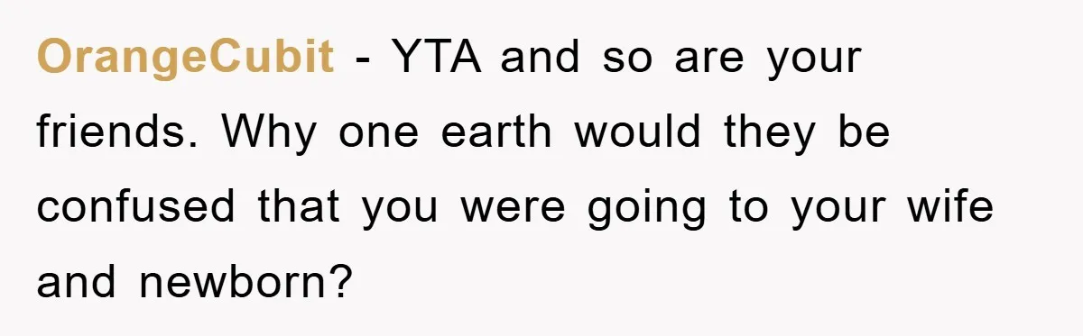OrangeCubit − YTA and so are your friends. Why one earth would they be confused that you were going to your wife and newborn?