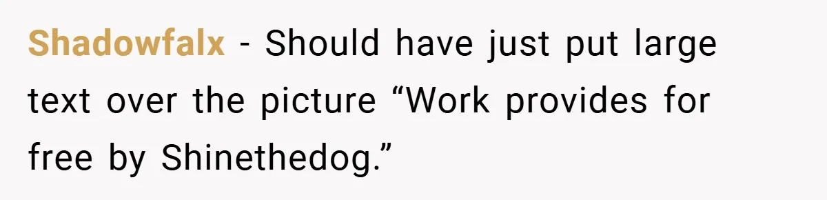 Shadowfalx − Should have just put large text over the picture “Work provides for free by Shinethedog.”