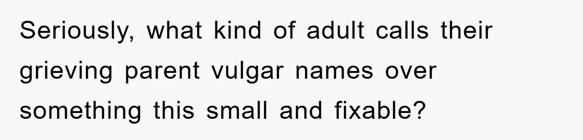 Seriously, what kind of adult calls their grieving parent vulgar names over something this small and fixable?