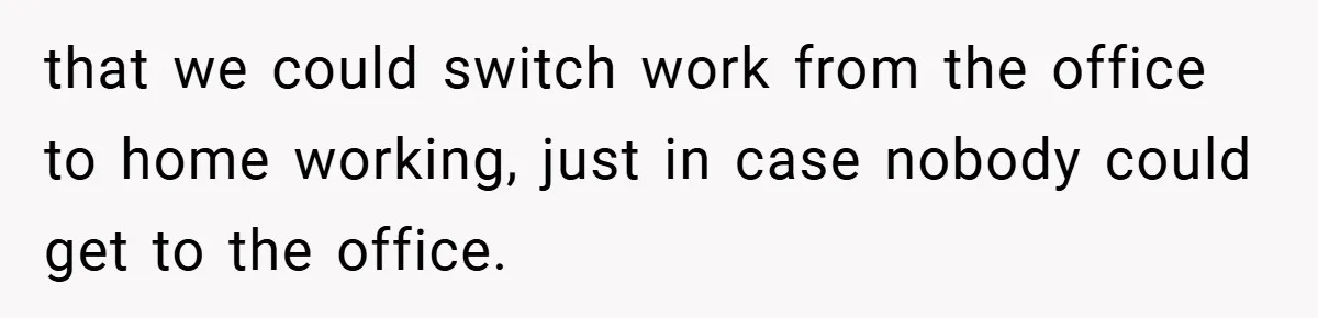 that we could switch work from the office to home working, just in case nobody could get to the office.