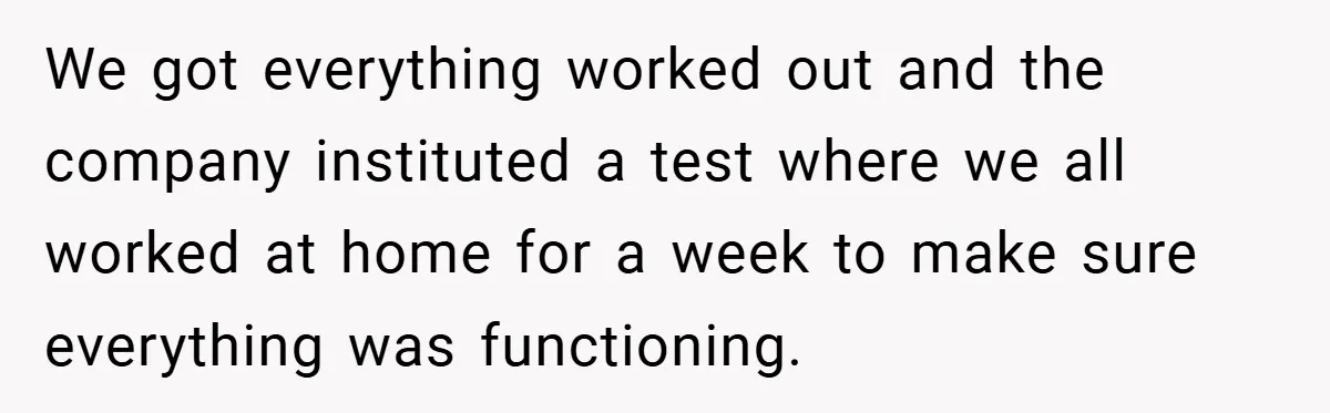 We got everything worked out and the company instituted a test where we all worked at home for a week to make sure everything was functioning.