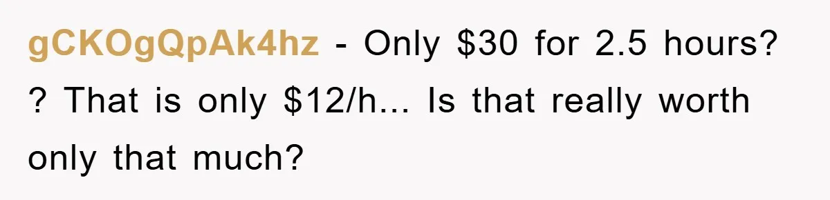 gCKOgQpAk4hz − Only $30 for 2.5 hours? ? That is only $12/h... Is that really worth only that much?