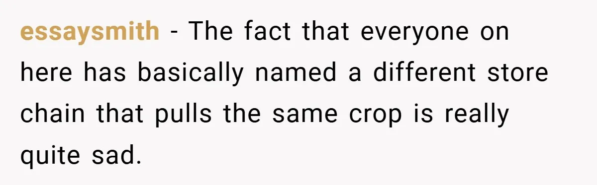 Employee Quits Immediately After Manager Threatens Job, Leaves The Store In Shambles essaysmith − The fact that everyone on here has basically named a different store chain that pulls the same crop is really quite sad.