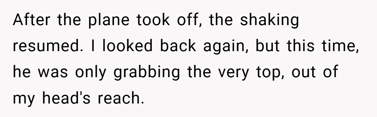 After the plane took off, the shaking resumed. I looked back again, but this time, he was only grabbing the very top, out of my head's reach.