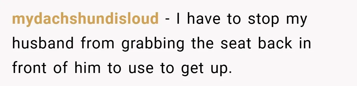 mydachshundisloud − I have to stop my husband from grabbing the seat back in front of him to use to get up.